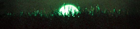 ballngrass.jpg